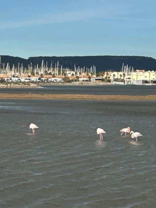 Maison Chalet 200 M De La Plage Climatisation Et Wifi Gruissan Bagian luar foto